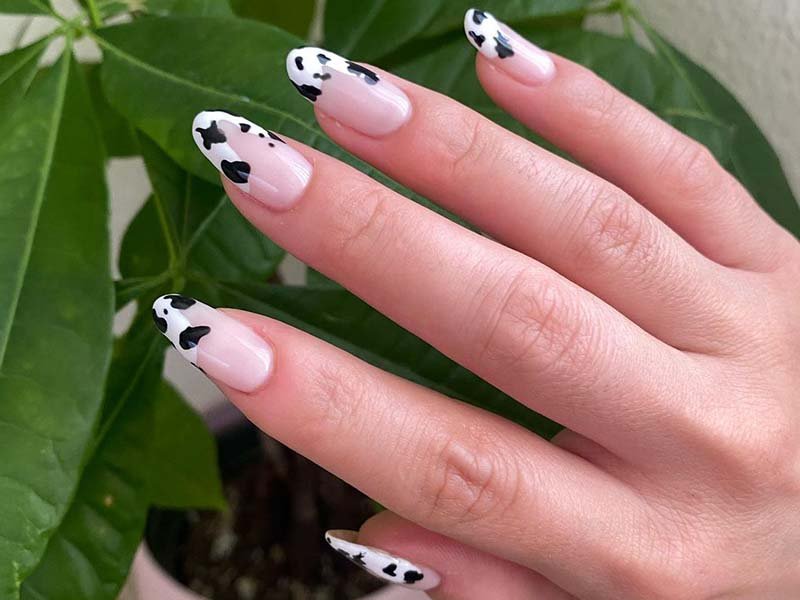 Amazon.com: IMSOHOT Short Square Press on Nails 3D Cow Print Fake Nails  with Design Cute Full Cover Acrylic False Nails Glue on Nails Glossy  Squoval Nails for Women and Girls 24pcs :